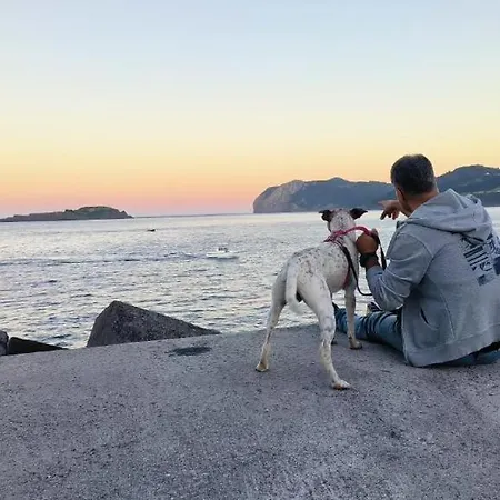 アパート Park ベルメオ